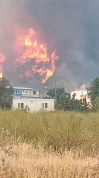 Hatay'daki yangından korkunç görüntüler: Alevler her yeri sardı 18